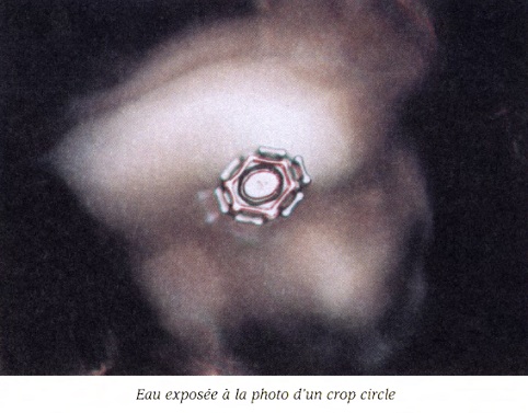 eau_crop_circle.jpg