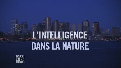 http://www.the-savoisien.com/blog/public/img19/intelligence_nature_enquestes_extra_ordinaires.png